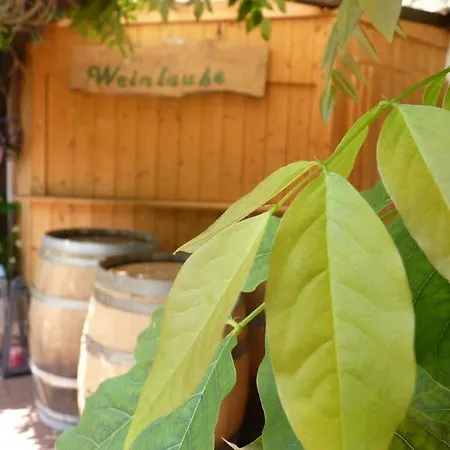 Hotel Buescher's Und Restaurant 3*