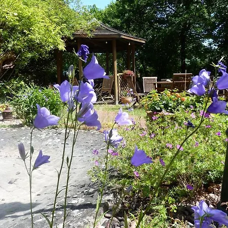 Otel Buescher's Und Restaurant Bielefeld