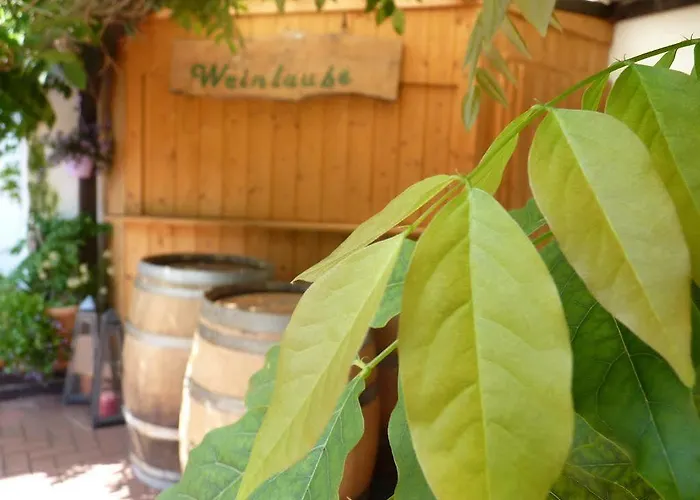 Hotel Buescher's Und Restaurant 3*